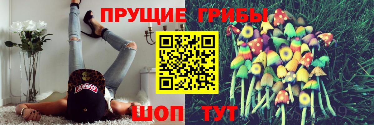 Луга  как найти наркотики  Псилоцибиновые грибы Psilocybe  Вход с VPN  Галлюциногенные грибы Psilocybine cubensis 